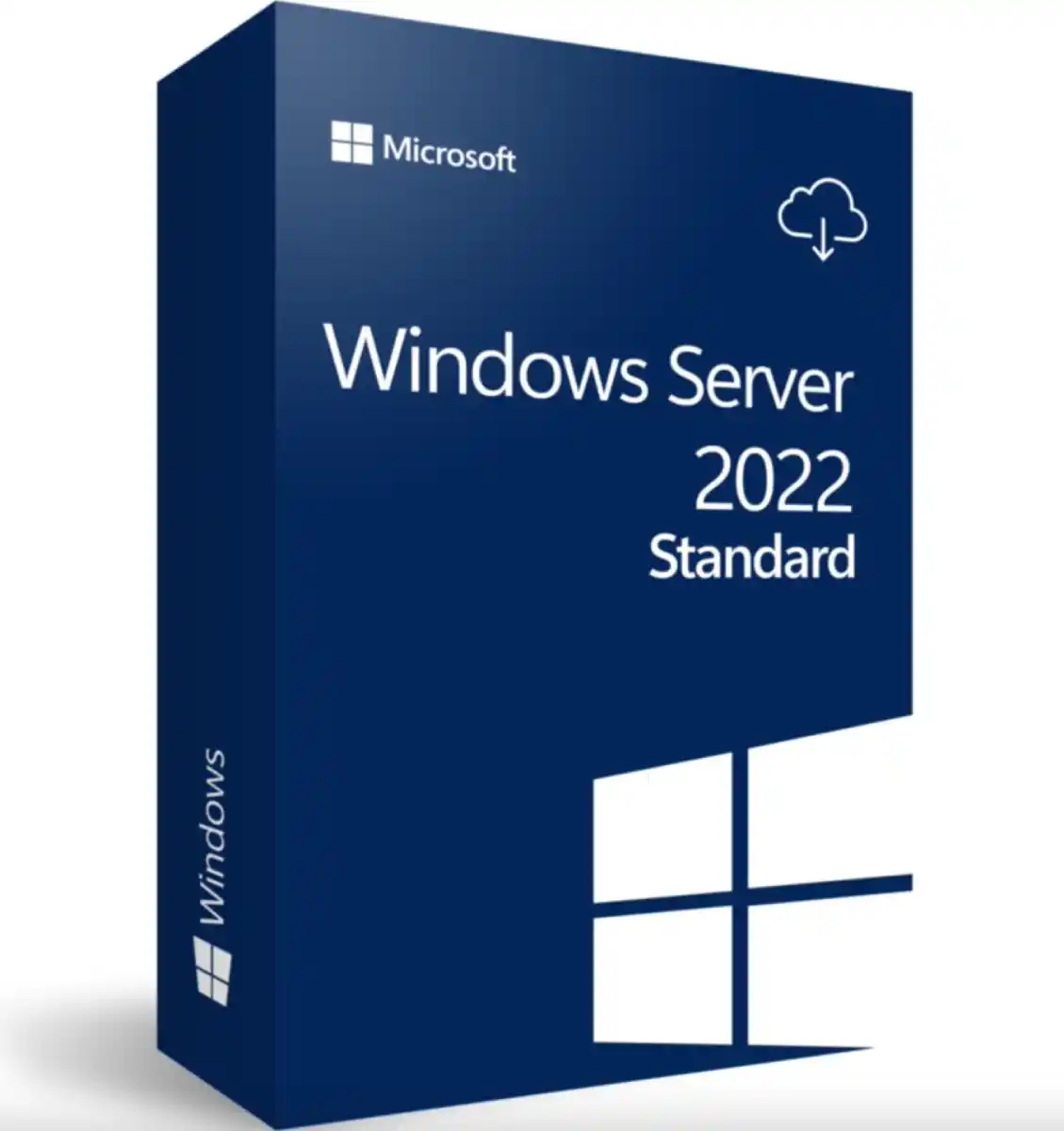 Microsoft Windows Server Standard 2022 Professional