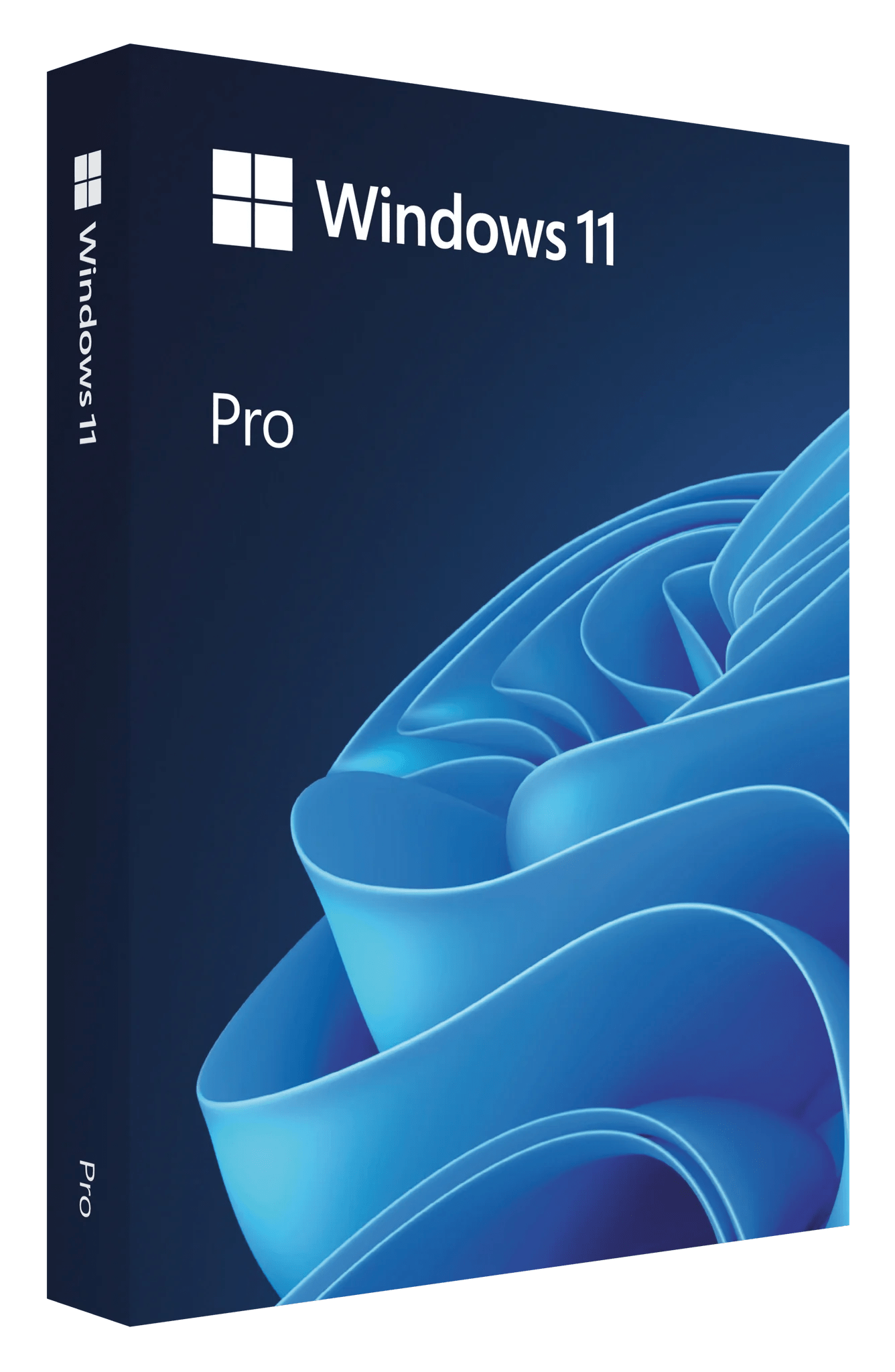Windows 11 Professional