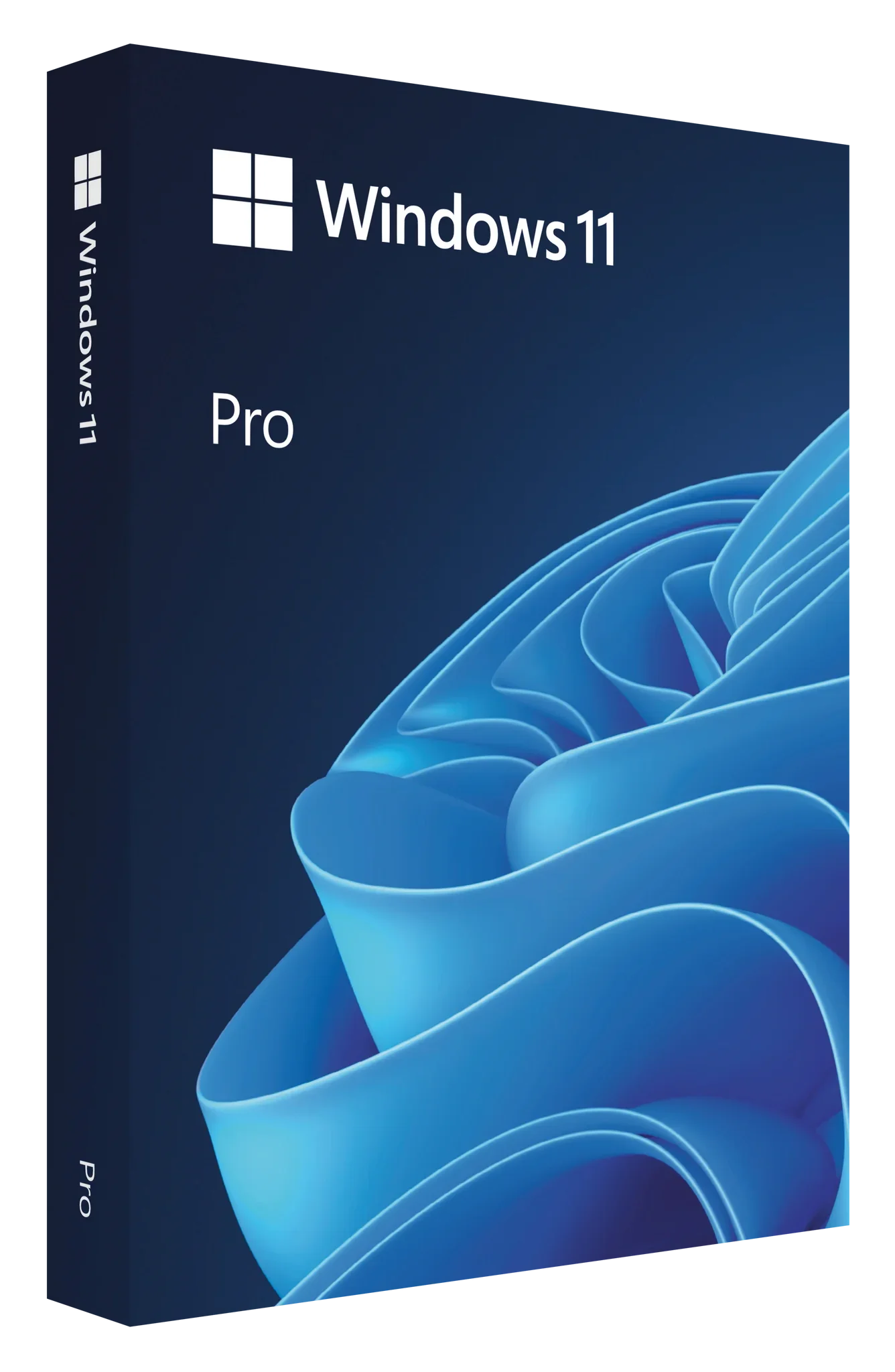 Windows 11 Professional